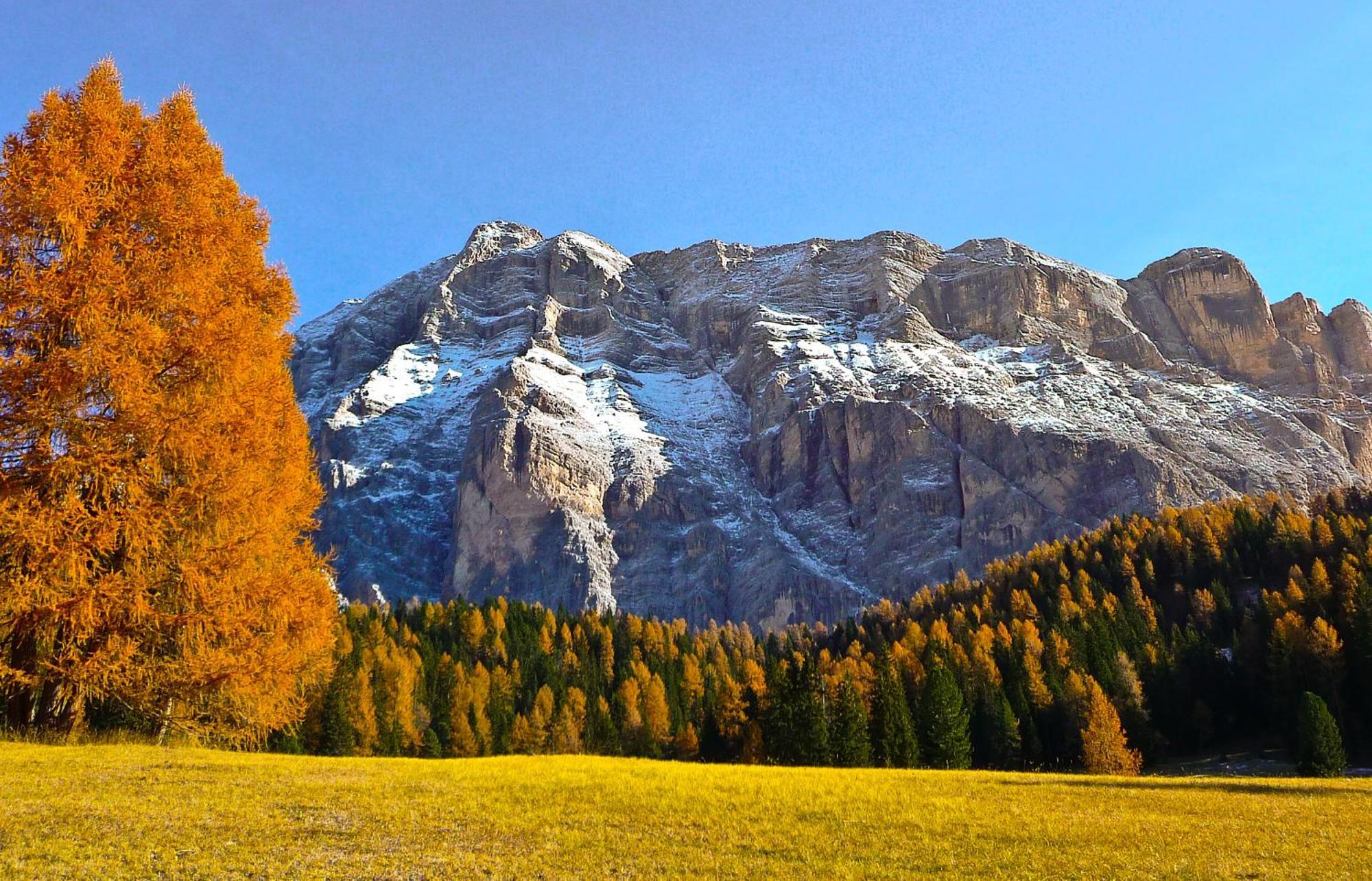 Apartment Ciasa Laoi San Cassiano  Luaran gambar